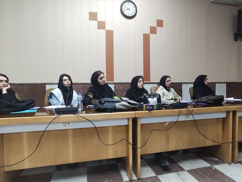 برگزاری اولین روز کارگاه دو روزه معاونت تحقیقات و فناوری با عنوان